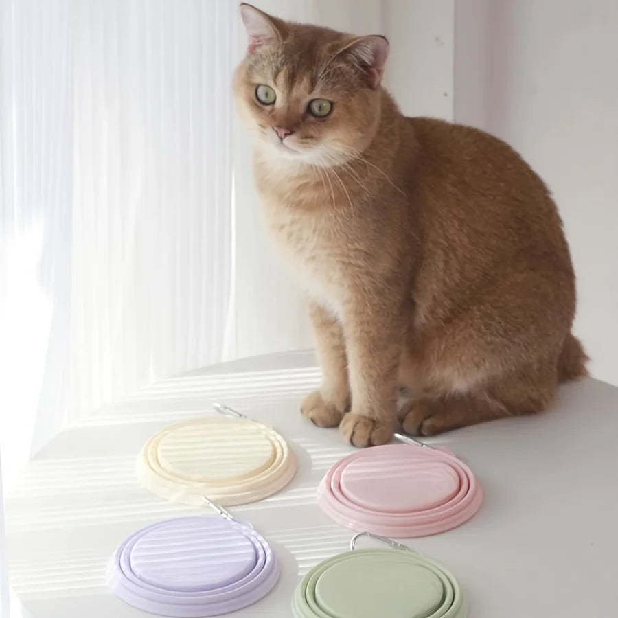 Hanging Dog Pet Folding Silicone Bowl Outdoor Travel Portable Food Water Container Feeding Tray Bowl Macaron Color Pet Supplies